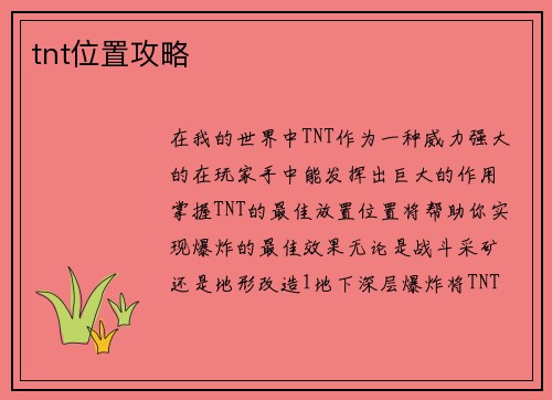 tnt位置攻略
